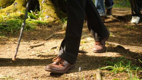 Walk