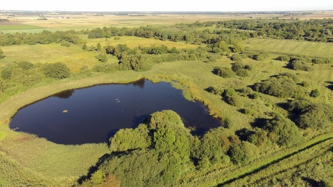 Aerial image of Woodwalton Fen