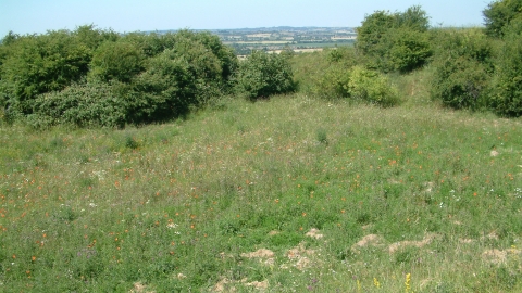 Barton Gravel Pit credit. Henry Stanier