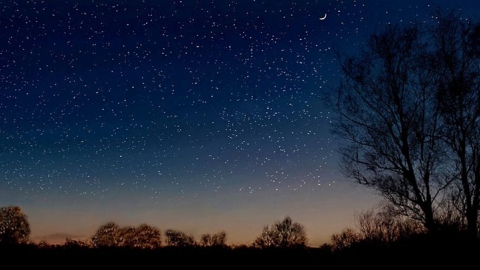 Night Sky credit Guy Pilkington
