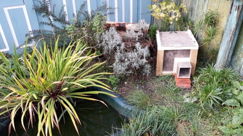 A hedgehog house in Becky Mayes's garden