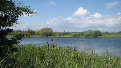 Nene Wetlands