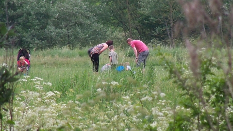 Bioblitz at Bradlaugh Fields