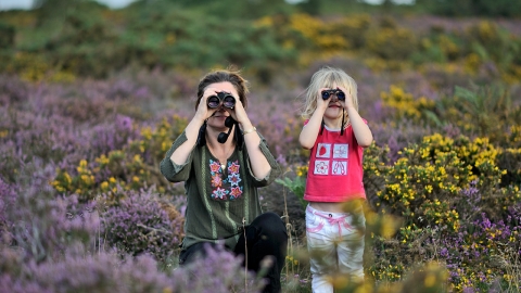 Bird watching on a heathland