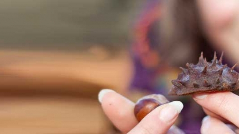 Autumn - sweet chestnuts