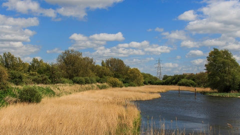 Woodston Ponds