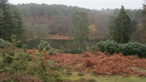 Rushmere Country Park