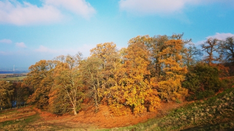 Ampthill Park - Greensand Ridge