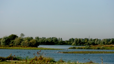 Summer Leys - Credit RNRP