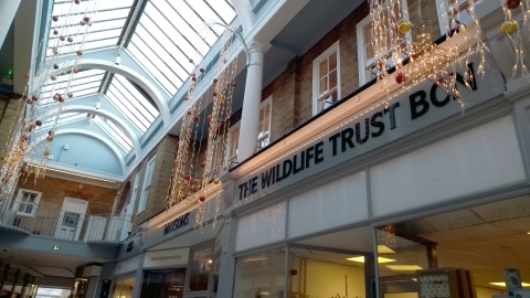 A view of the outside of the pop-up shop in Peterborough