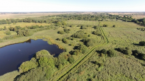 Woodwalton Fen
