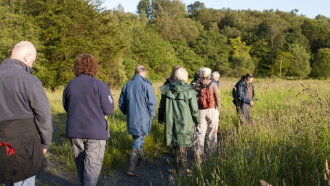 Walkers - guided walk