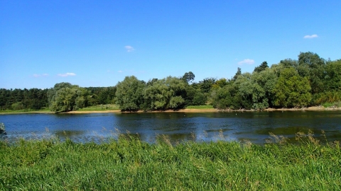 A view of Pitsford Water in the summer