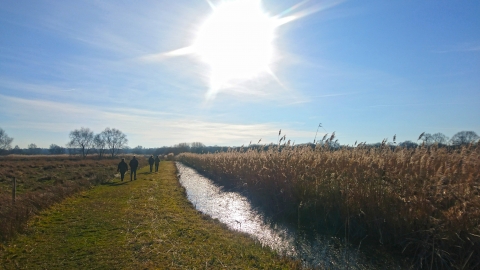 People walking at Woodwalton Fen