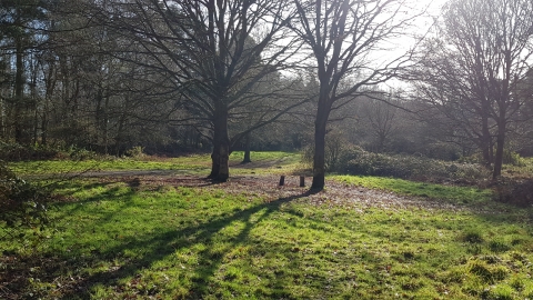 Lings Nature Reserve Feb 2019