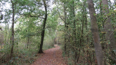 Marston Thrift