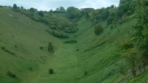 Pegston Hills