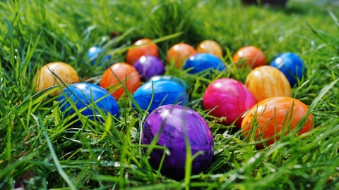 Eggs in grass