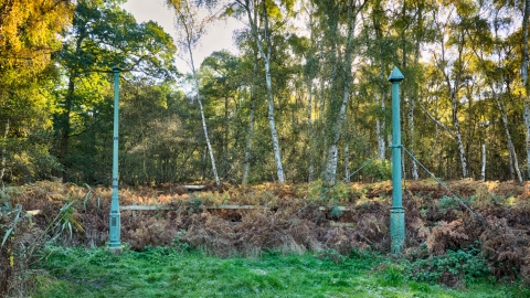 Holme Fen Posts