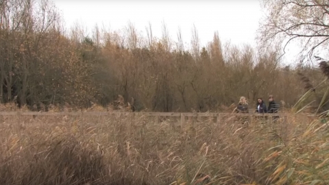 Great Fen Memories