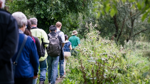 Guided Walk by Paul Miller