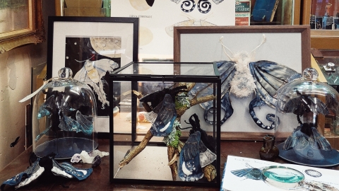 Textile moths