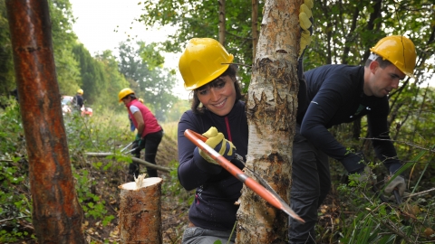 Young person coppicing