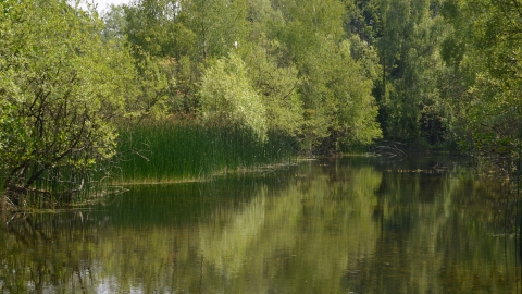 Image of lake at Felmersham Gravel Pits