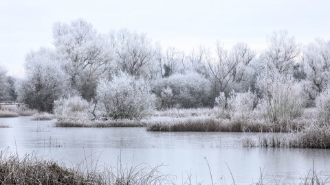 Image of Felmersham Gravel Pits in winter