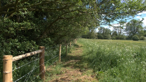 Image of Flitwick Moor