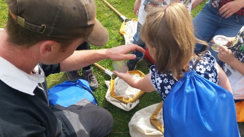 Nature detectives
