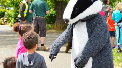 children meeting badger at Wildlife Day