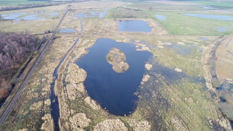 A view across Rymes Reedbed on World Wetlands Day - Great Fen