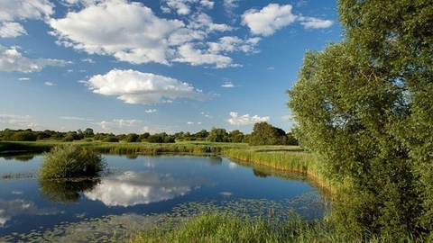 Great Fen - Mark Hamblin/2020VISION
