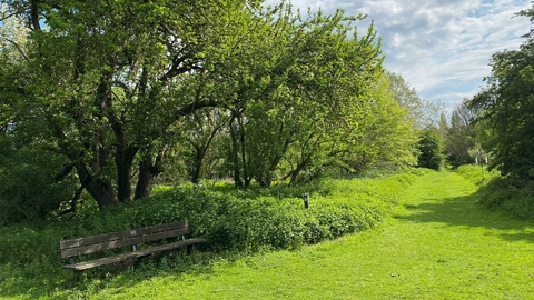 Ramsey Heights Nature Reserve