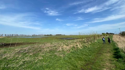 New Decoy Walk in the Great Fen