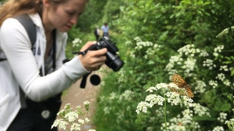 Photographing a butterfly 