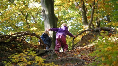 Children in Autumn woodland