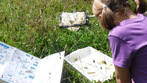 Pond dipping on Cambourne Nature Reserve by Rebecca Neal