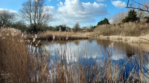 Ramsey Heights Great Fen pond