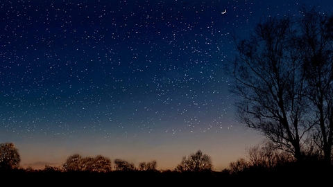 Stars in a dark blue sky with trees silouetted