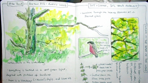 Pages of a nature journal with scenes of trees and bullfinch and descriptive text