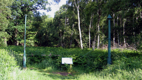 Holme Fen Posts