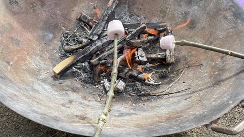 Marshmallows being roasted over fire pit