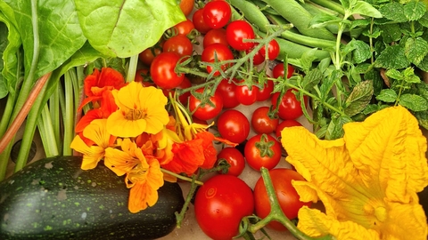Vegetables from community garden