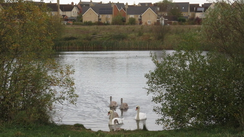Cambourne