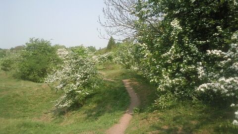 Barnack Hills and Hollows 