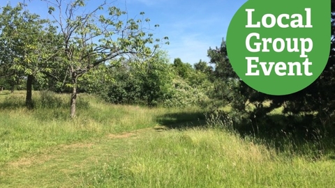 Grassy pathway through a section of Park Wood, with "local Group Event" icon overlaid