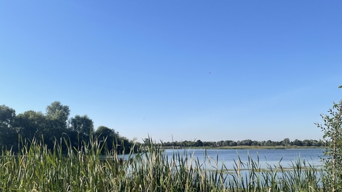 Blue sky over lake and reeds in foreground