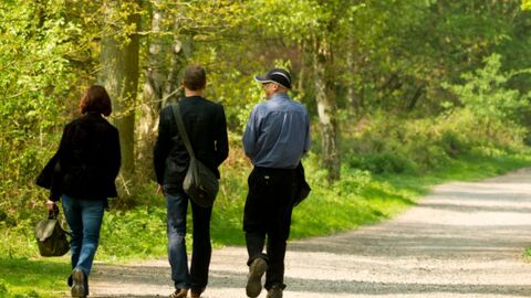 3 people dressed in corporate clothing walking on a pathway through woodland